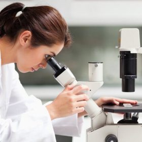 Sử dụng kính hiển vi đúng cách