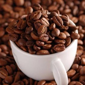 Đâu là máy đo độ ẩm cà phê chất lượng nhất hiện nay