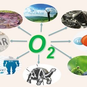 Khí oxygen có vai trò như thế nào